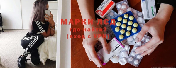 гашик Краснослободск