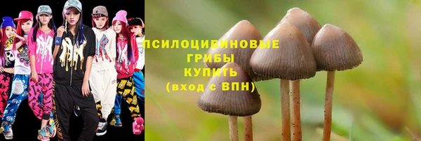 гашик Краснослободск