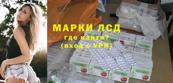 гашик Краснослободск