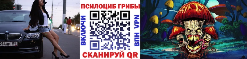 kraken ONION  Терек  Псилоцибиновые грибы GOLDEN TEACHER 